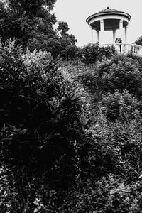 Low angle view of house and trees against sky