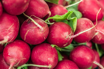 Full frame shot of radish