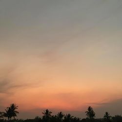 Silhouette trees against sky during sunset