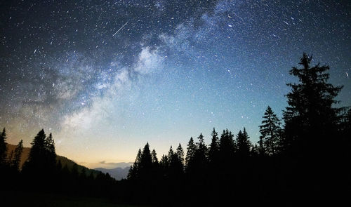 Low angle view of trees against sky at night