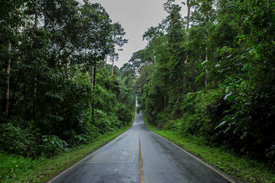 Road amidst trees in forest