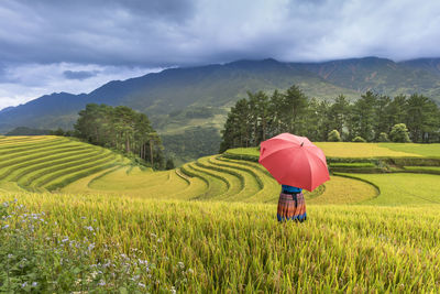 Rear view of woman holding umbrella while standing over rice paddy against sky