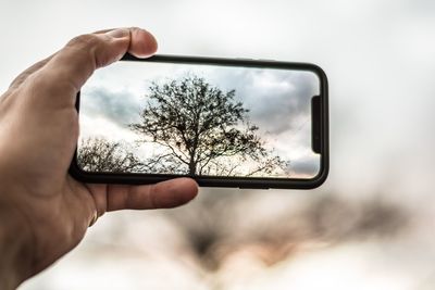 Close-up of person photographing tree against sky