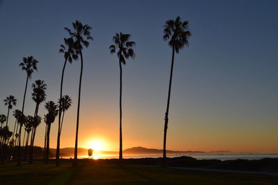 Silhouette palm trees against sky during sunset