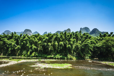 Scenic view of river against clear sky