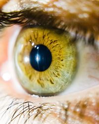 Close-up portrait of human eye