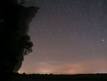 Silhouette trees against sky at night