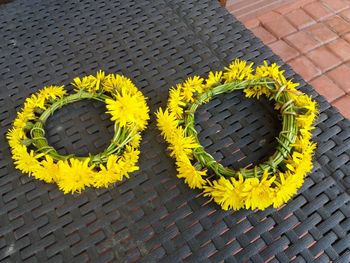 High angle view of yellow flower on footpath