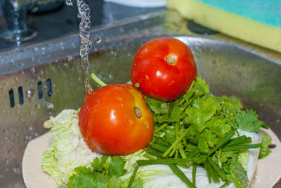 High angle view of tomatoes in water