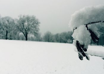 snow