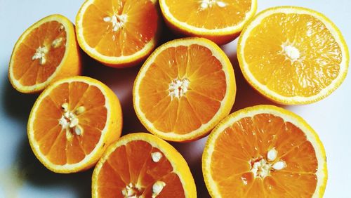 Close-up of oranges against white background