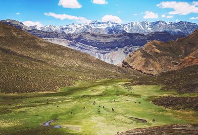 Green field with snow capped mountains 