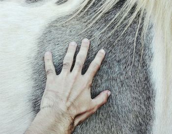 Close-up of human hand