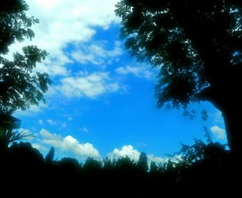Low angle view of silhouette trees against sky