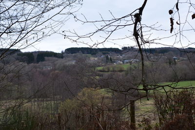 Scenic view of field against clear sky