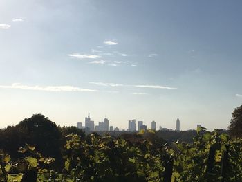 Trees and cityscape against sky