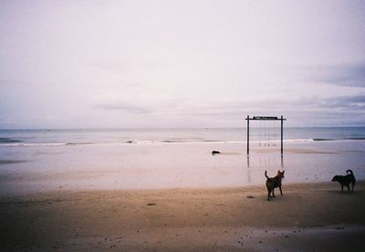 Scenic view of beach against sky on film