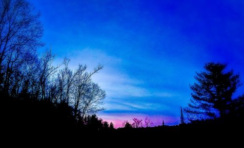 Low angle view of silhouette trees against blue sky