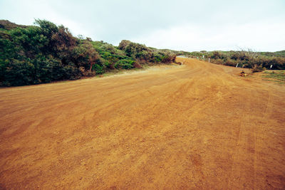 Dirt road amidst trees against sky