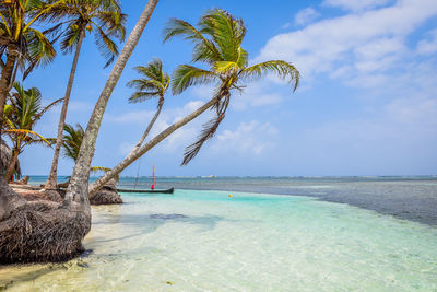 Scenic view of palm trees and sea against sky 