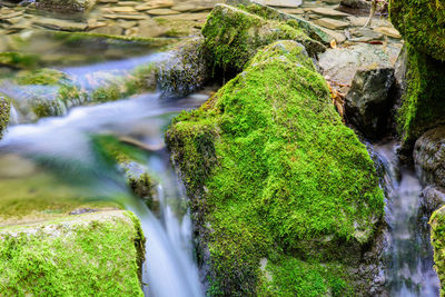 View of waterfall in forest