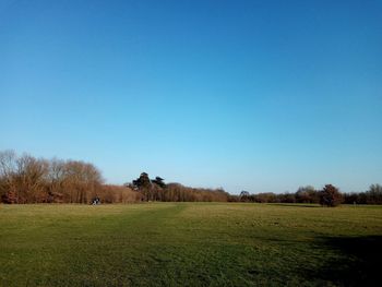 Scenic view of field against clear blue sky