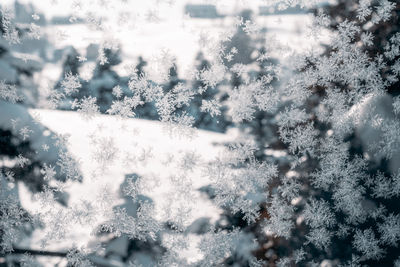 Frozen snowflakes on glass with hills and trees covered in snow.