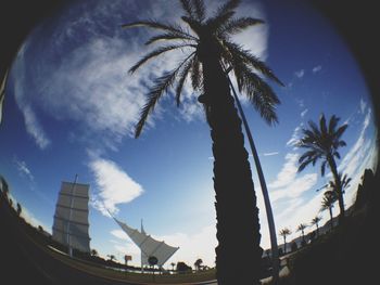 Low angle view of palm trees against cloudy sky