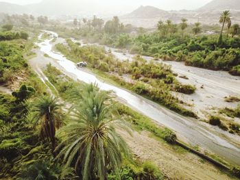 High angle view of road amidst trees