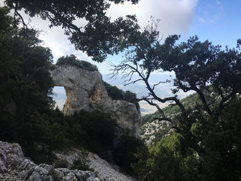 Low angle view of rock formation amidst trees against sky