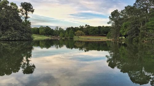 Scenic view of lake with trees reflection