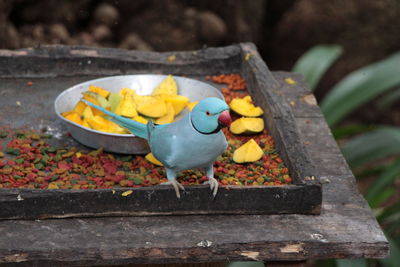 High angle view of stuffed toy on wood