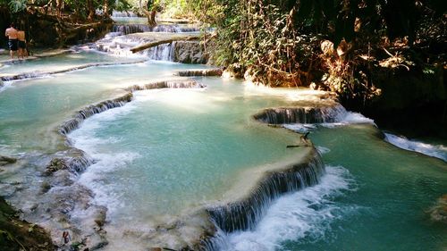 High angle view of waterfall along trees