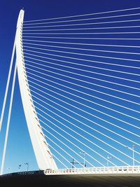 Low angle view of puente del alamillo bridge against blue sky