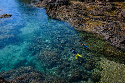 Father and son are diving in the sea. active lifestyle. family. exploring the world. wanderlust