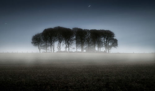 Trees on field against sky