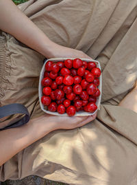 High angle view of hand holding strawberries