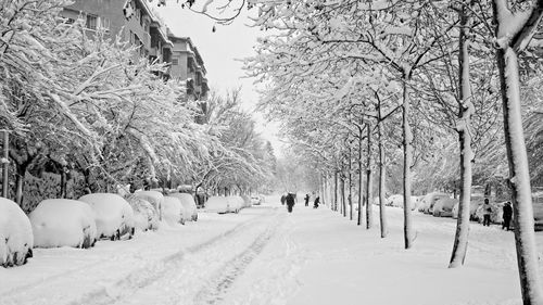 Panoramic view of snow covered field