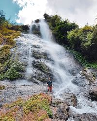 Scenic view of waterfall in forest