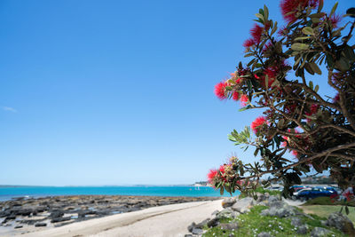 Scenic view of sea against clear blue sky