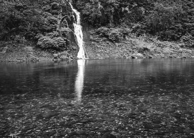 Scenic view of waterfall in forest