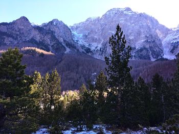 Low angle view of trees and mountains against sky