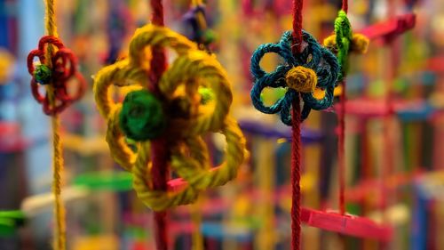 Close-up of multi colored flower for sale in market