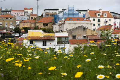 View of houses in town