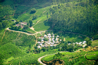 High angle view of agricultural field