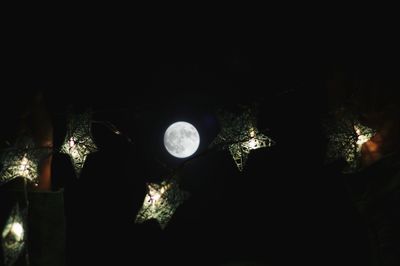 Illuminated trees at night