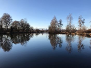 Reflection of trees in lake against clear blue sky