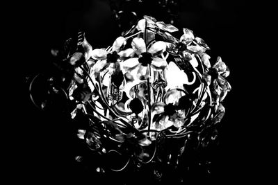 Close-up of illuminated light bulb over black background