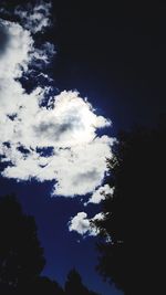 Low angle view of silhouette trees against sky