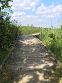 Road amidst agricultural field against sky